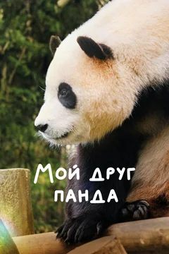 Фильм Мой друг панда (2024)